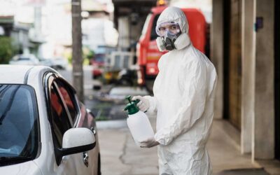 Reportagem da Sofisticar na Band